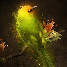 DDOS在线攻击平台